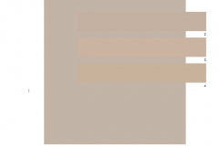 693572 DLG South Fork HOA Color Scheme Dark Beige