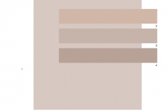 693572 DLG South Fork HOA Color Scheme Taupe